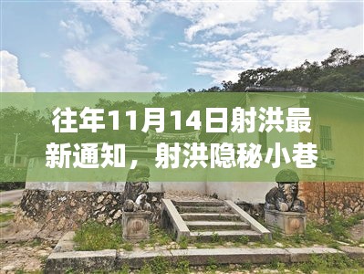 射洪隐秘小巷宝藏小店探秘之旅，最新通知与探秘之旅开启在11月14日