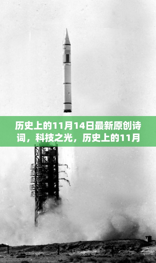 2024年11月 第382页