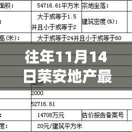 荣安地产最新动态解析，产品特性与市场竞争态势深度观察（往年11月14日）