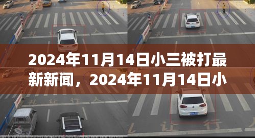 小三被打事件深度解析与观点阐述，2024年11月14日最新报道