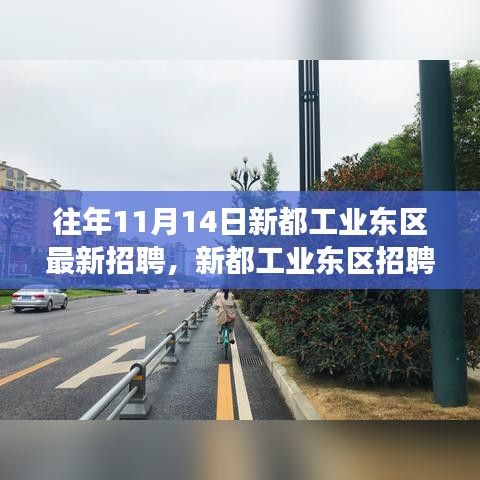 新都工业东区招聘日，与大自然共舞，探寻内心宁静之旅