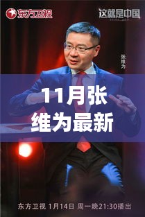 张维为教授最新演讲视频，时代之声与全球视野下的深度洞察