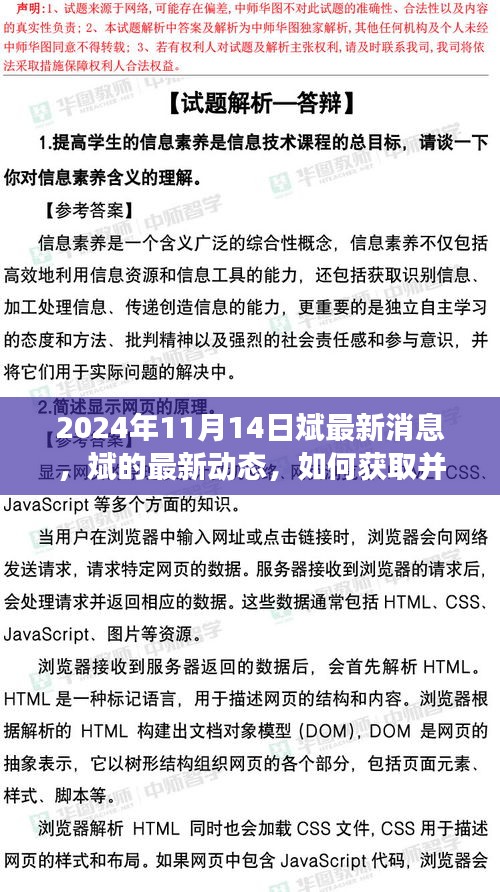 斌的最新动态及资讯解读指南，2024年11月14日全面更新消息汇总