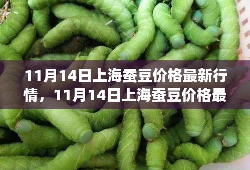 上海蚕豆价格最新行情及市场走势分析（多元观点探讨）