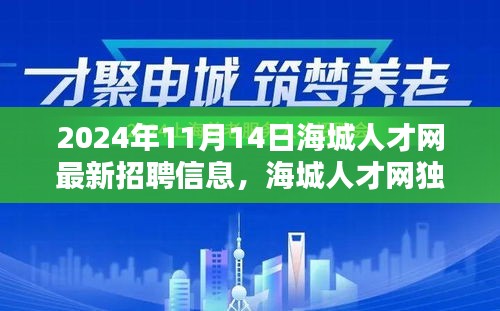 2024年海城人才网最新招聘信息全解析，职业未来从这里起航