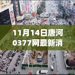 关于我们 第247页