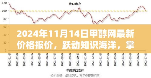 跃动知识海洋，2024年11月14日甲醇网最新价格报价及未来趋势启示录