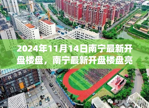 2024年11月14日南宁最新开盘楼盘焦点观察，亮点解析与深度探讨