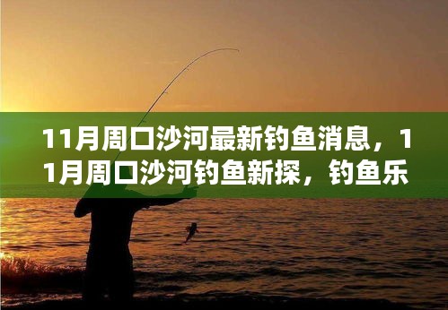 11月周口沙河钓鱼新探，体验钓鱼乐趣与生态平衡之间的微妙关系