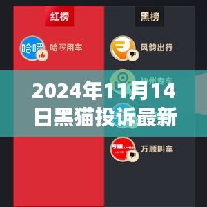 2024年11月14日黑猫投诉平台最新动态及深度解析