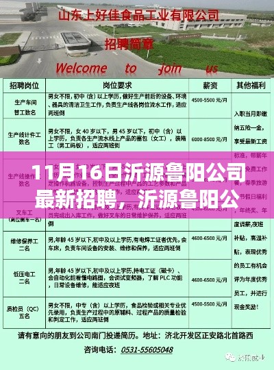 沂源鲁阳公司11月16日盛大招聘，行业瞩目盛况聚焦！