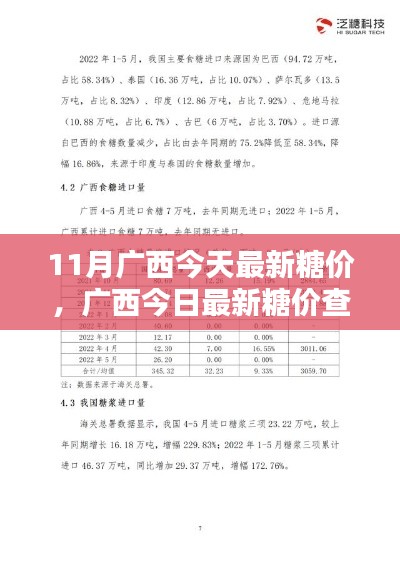 广西最新糖价查询指南，今日糖价及初学者/进阶用户适用指南（11月版）