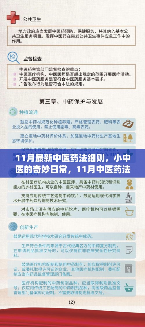 11月中医药法细则下的温情故事与小中医的奇妙日常探索