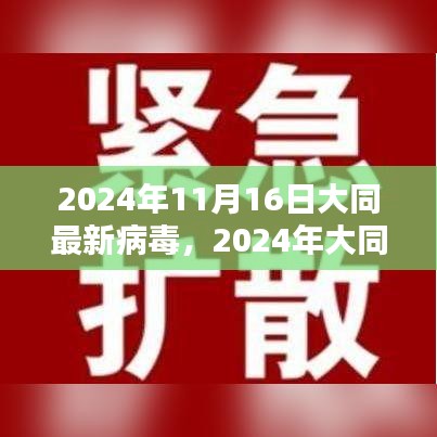 大同市最新病毒深度解析与应对指南（2024年11月）