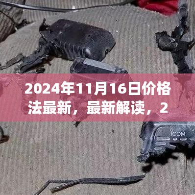 2024年11月 第360页