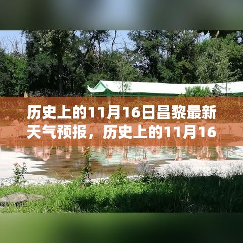 历史上的11月16日昌黎天气预报全解析，风云变幻尽收眼底