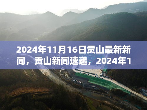 贡山新闻快报，2024年11月16日最新资讯深度解读与获取指南