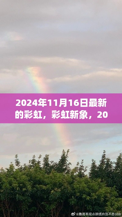 彩虹新象下的多元观点探讨，2024年11月16日彩虹现象观察