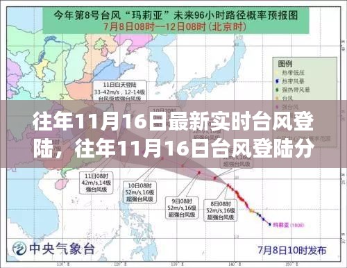 历年11月16日台风登陆分析，影响与应对策略探讨