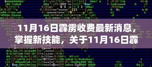 11月16日霹雳收费最新消息全面解析，掌握新技能的指南