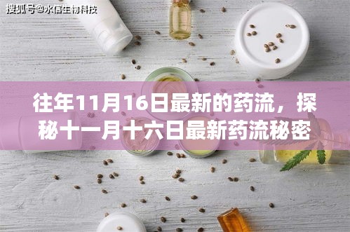 探秘最新药流秘密与小巷深处的特色小店之旅，十一月十六日的秘密之旅