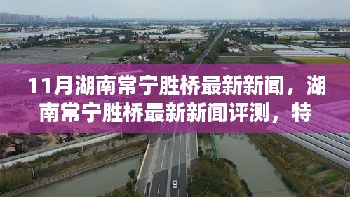 湖南常宁胜桥最新新闻评测，特性、体验与目标用户分析