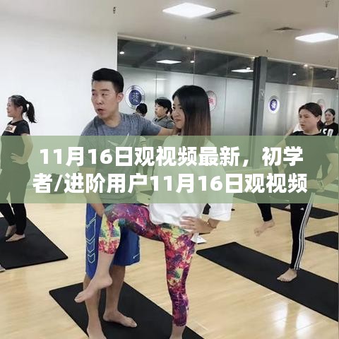 初学者/进阶用户指南，最新视频教程教你一步步掌握技能学习与任务完成攻略（11月16日更新）