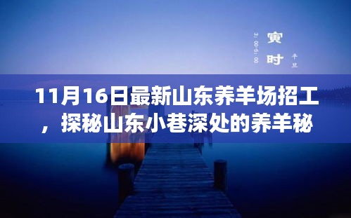 山东养羊秘境探秘，最新招工启事，开启养羊场新篇章！