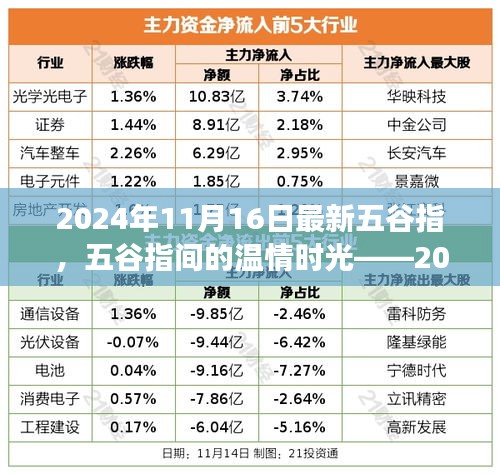 五谷指间的温情时光，日常故事在2024年11月16日