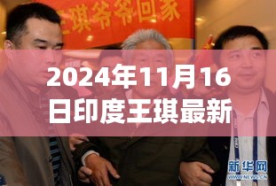 2024年11月 第337页