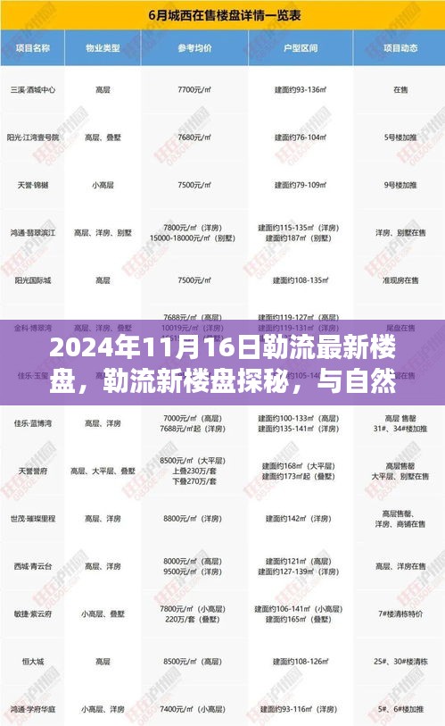 勒流最新楼盘探秘，与自然美景共舞，探寻宁静之乐居所（2024年11月）