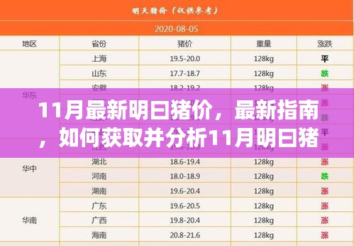 11月明曰猪价全面解析，从初学者到进阶用户的完全指南