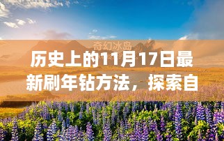 历史上的11月17日，探索最新钻法与自然美景，追寻内心宁静之旅