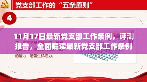 全面解读最新党支部工作条例，11月17日最新条例评测报告与党支部工作指南