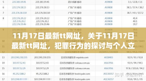 关于最新TT网址犯罪行为的探讨与个人立场分析，11月17日最新观察报告