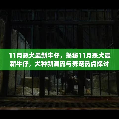 揭秘11月恶犬最新牛仔，犬种新潮流与养宠热点探讨