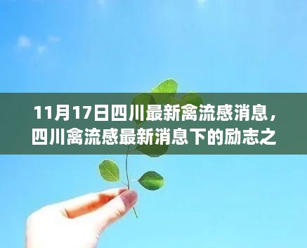 四川禽流感最新消息背后的励志之光，变化中的学习，自信与成就感的源泉