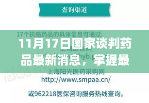 11月17日国家谈判药品最新消息全面解读，掌握行业动态，洞悉药品市场趋势