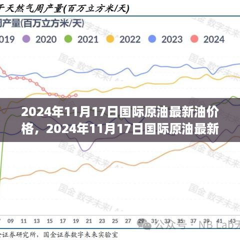 2024年11月17日国际原油最新油价走势分析，多方观点与个人立场碰撞