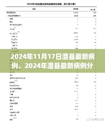 2024年澧县最新病例分析与防控措施探讨，病例更新及策略探讨