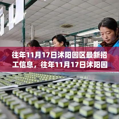 探寻最新就业机遇，沭阳园区历年11月17日招工信息大盘点与最新招工信息速递