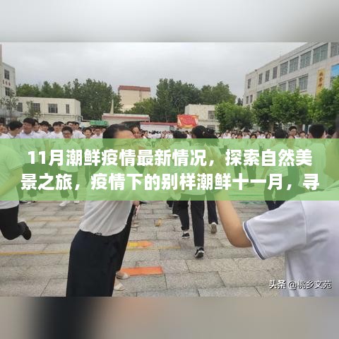 疫情下的别样潮鲜十一月，探索自然美景之旅，探寻内心宁静港湾的最新疫情情况