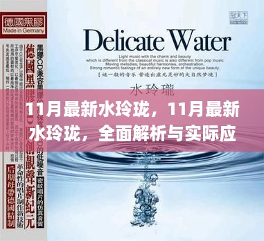 全面解析与实际应用案例，最新水玲珑技术揭秘（附案例）