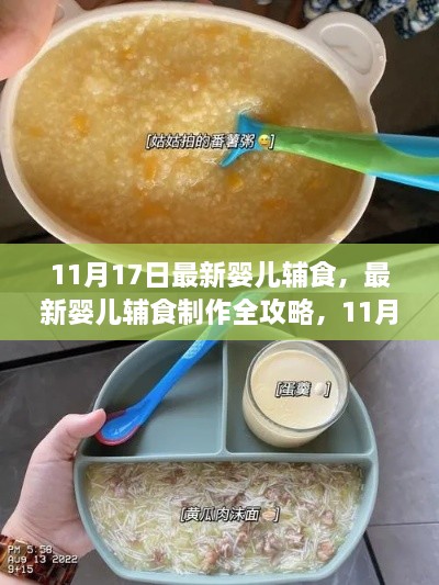 11月17日婴儿辅食全新制作攻略，全方位指导宝宝辅食DIY