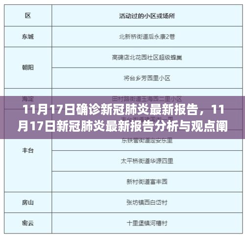 11月17日新冠肺炎确诊报告分析，最新数据与观点阐述