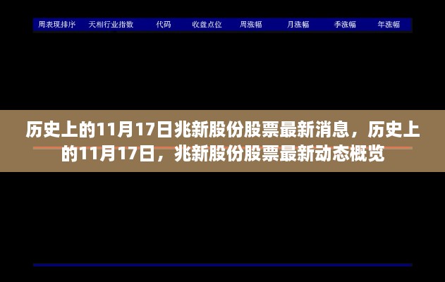 历史上的11月17日，兆新股份股票最新动态概览与消息速递