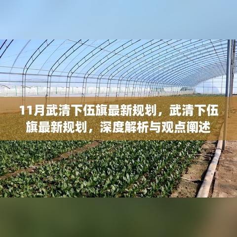 武清下伍旗最新规划深度解析与观点阐述，11月最新规划揭秘