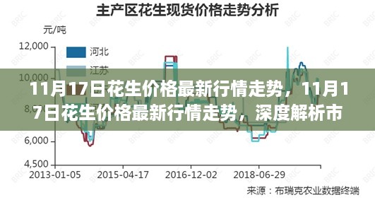 11月17日花生价格行情深度解析，市场趋势与未来预测