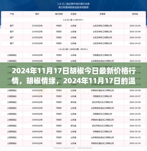 胡椒情缘，揭秘2024年11月17日最新胡椒价格行情的温馨之旅