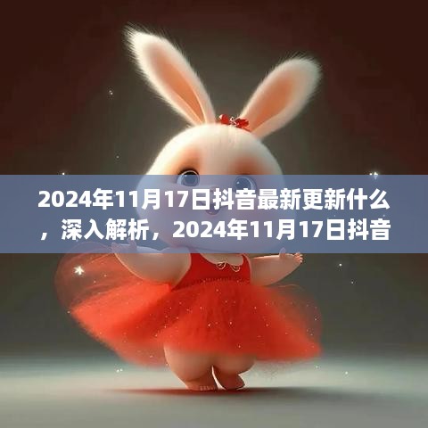 2024年11月17日抖音最新更新内容全面评测与解析